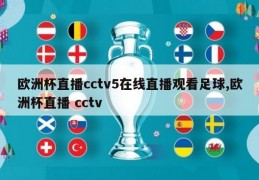 欧洲杯直播cctv5在线直播观看足球,欧洲杯直播 cctv