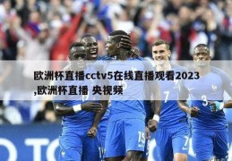欧洲杯直播cctv5在线直播观看2023,欧洲杯直播 央视频